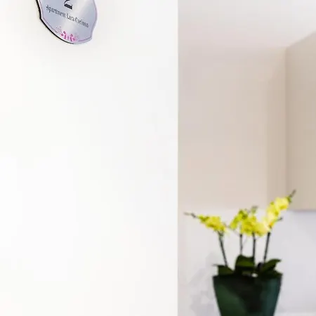 公寓 Lara's 梅拉诺